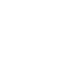 Mantle Network's Logo